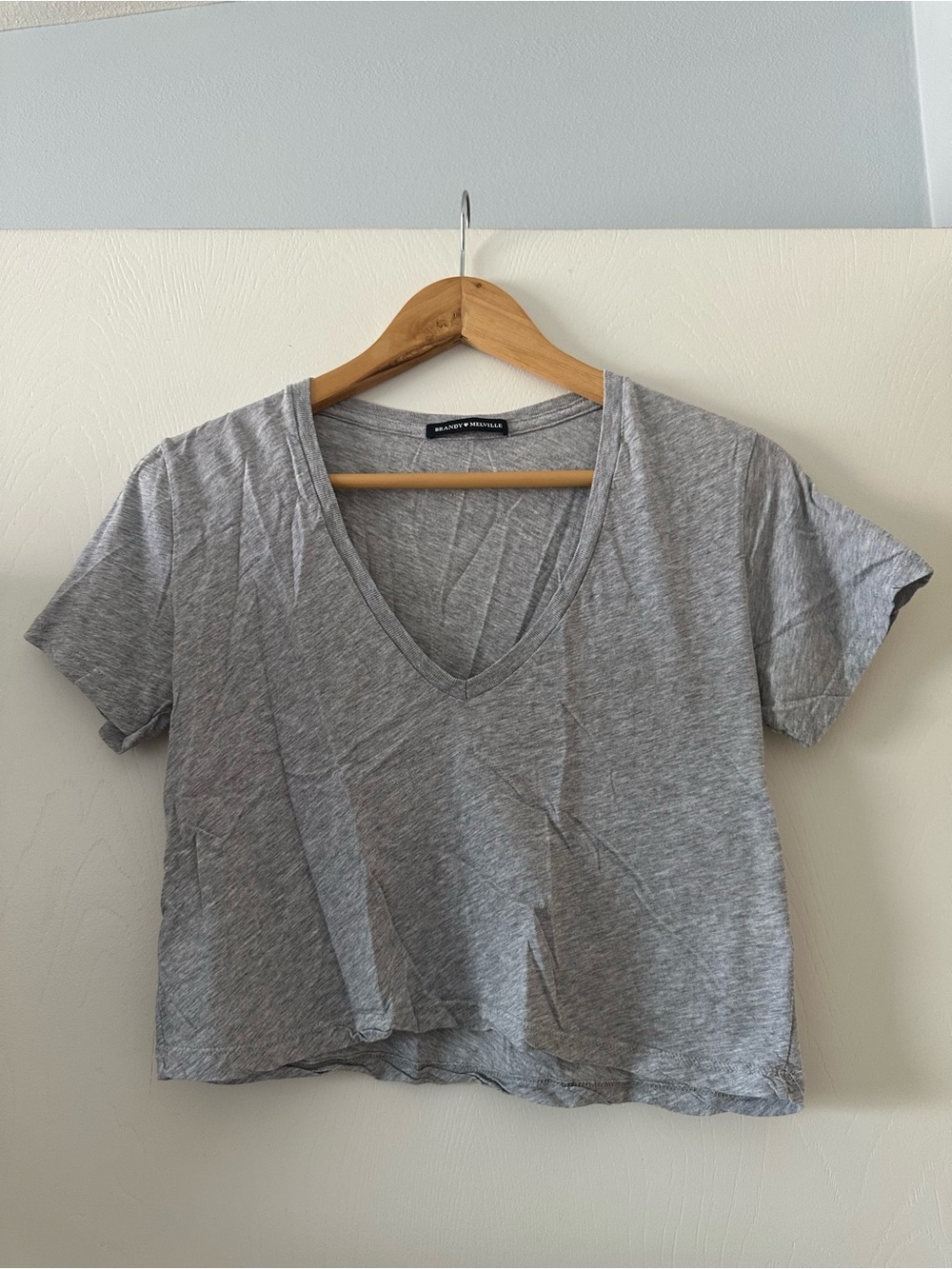 Brandy Melville Light Heather Gray V-Neck Cropped Tee